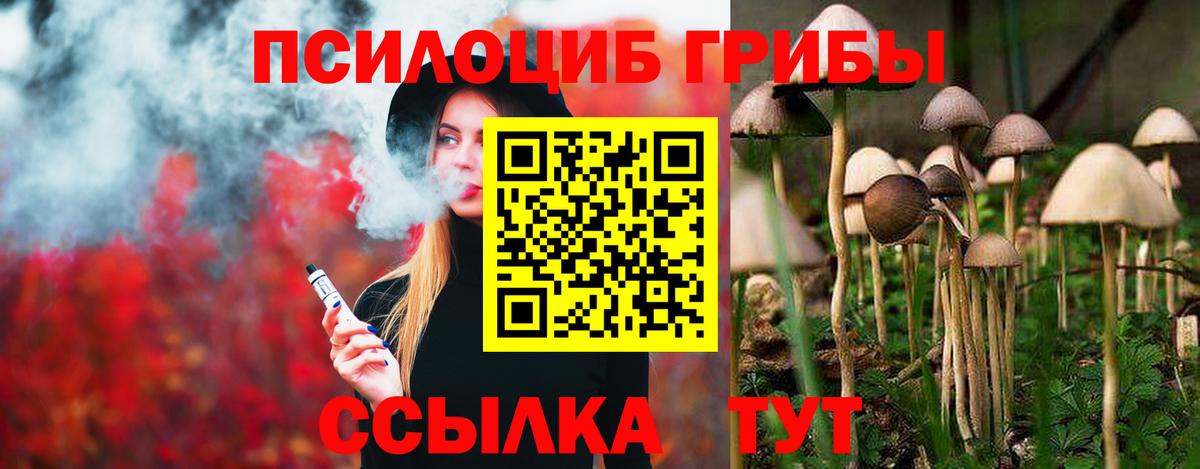 Псилоцибиновые грибы GOLDEN TEACHER Малгобек